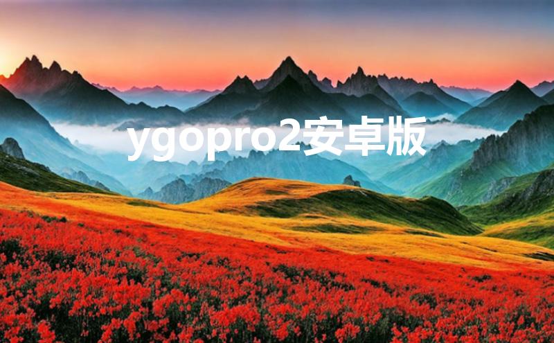 ygopro2安卓版（ygopro2安卓版卡片位置在哪）