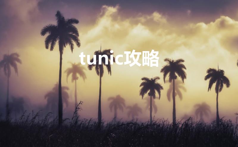 tunic攻略（TUNIC黄金大道解谜攻略）
